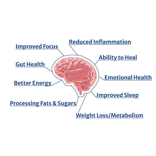 Functional Medicine South Chesterfield VA Functional Weight Loss Graphic Graphic Showing The Benefits Of Functional Weight Loss